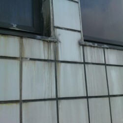 scum on tiles